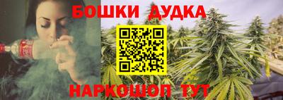 гидропоника Кудрово