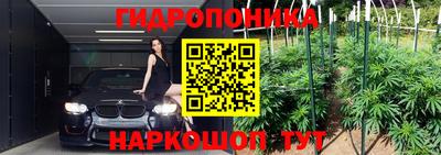 индика Кохма