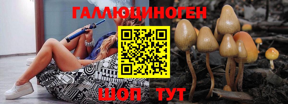 Псилоцибиновые грибы Magic Shrooms Дербент
